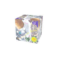 Новогодняя ночь Салют купить в Новосибирске | novosibirsk.salutsklad.ru