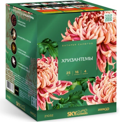Хризантемы Фейерверк купить в Новосибирске | novosibirsk.salutsklad.ru