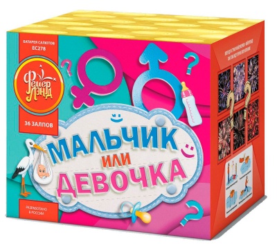 Мальчик или девочка М Фейерверк купить в Новосибирске | novosibirsk.salutsklad.ru